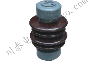 ZS��ZSW-10KV/4��5��������·��֧����Ե��