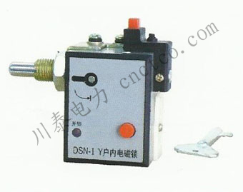 DSN-1Y���ڵ������