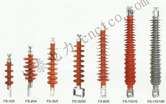 FS-(10-220)���Ϻᵣ��Ե��