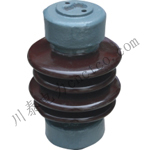 ZS��ZSW-10KV/4��5��������·��֧����Ե��