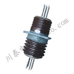 CWWL-10KV/2000-4000A�������������ѹ10kv��ǽ�׹�
