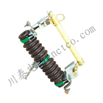 RW11-10KV�������ʽ�۶���