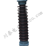 ZSW-110KV��ֻ����ZSW-220KV����֧����Ե��